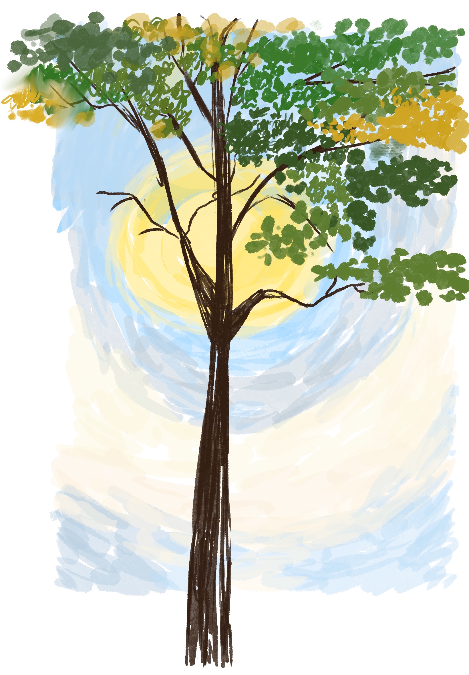 Decorative postcard